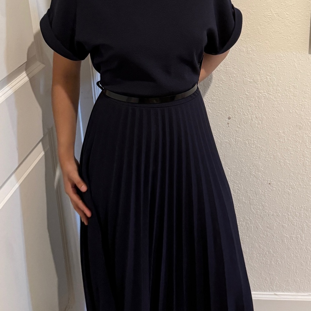 Elegant Black Pleated dress